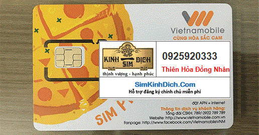 Hình ảnh SIM 0925920333 mạng Vietnamobile