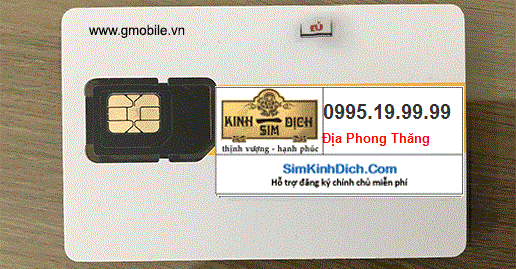 Hình ảnh SIM 0995.19.99.99 mạng Gmobile