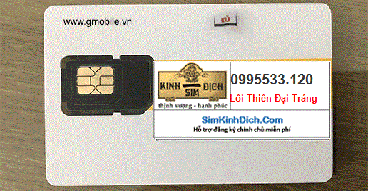 mua sim 0995533120 0995533120
