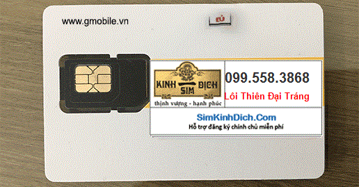 mua sim 0995583868 0995583868