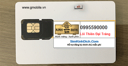 mua sim 0995590000 0995590000