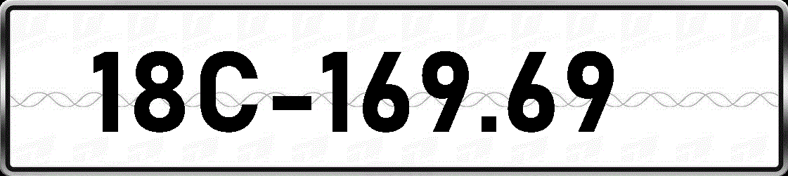 18C16969