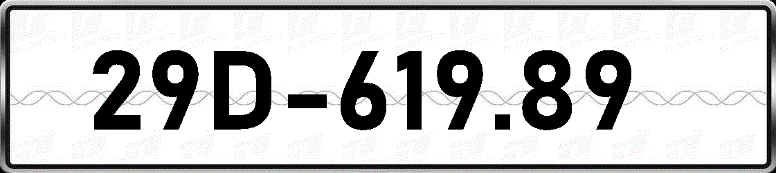29D61989
