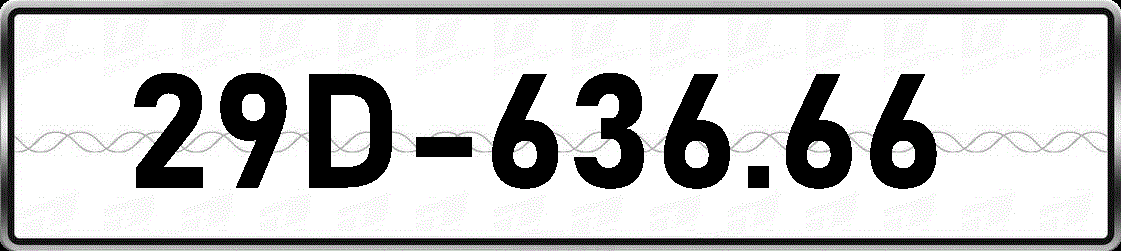 29D63666