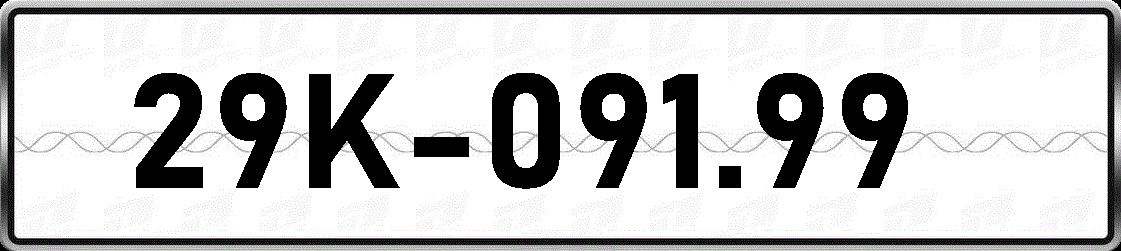 29K09199