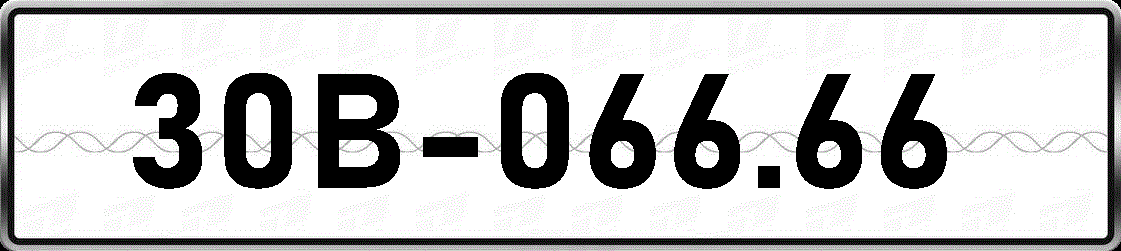 30B06666