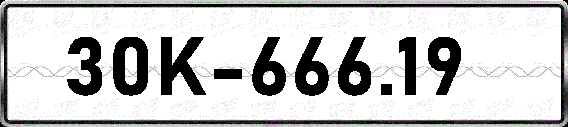 30K66619