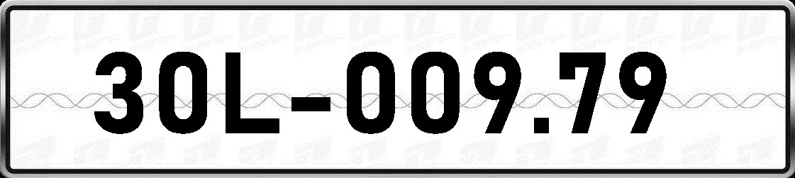 30L00979