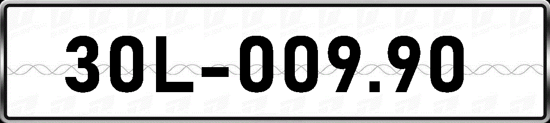 30L00990