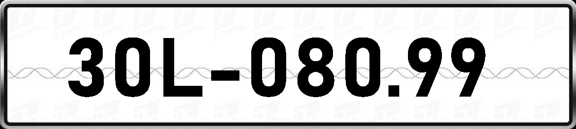 30L08099