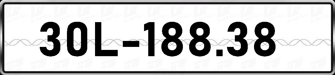 30L18838
