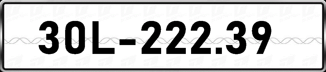 30L22239