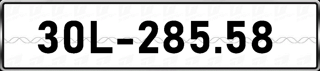 30L28558