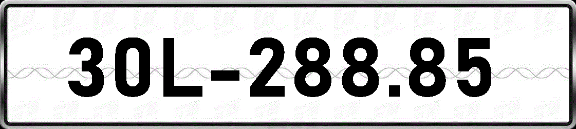 30L28885
