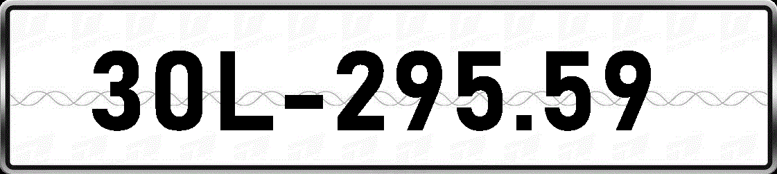 30L29559