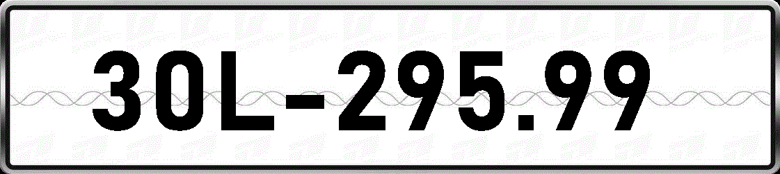 30L29599