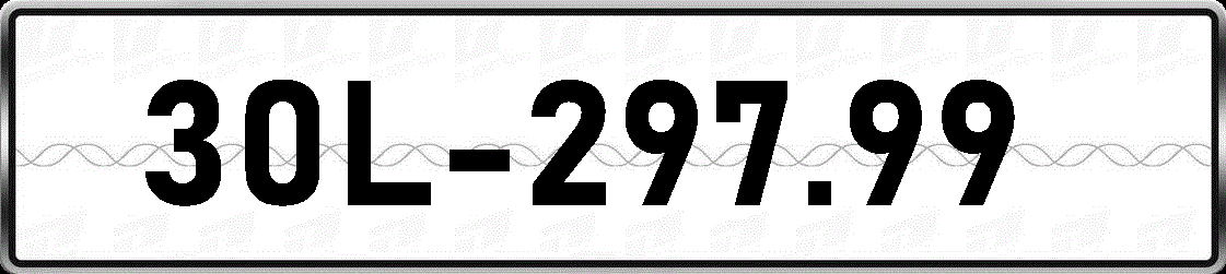 30L29799