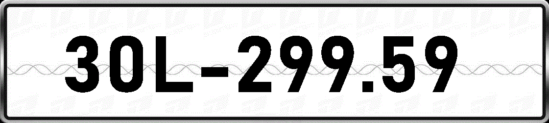 30L29959
