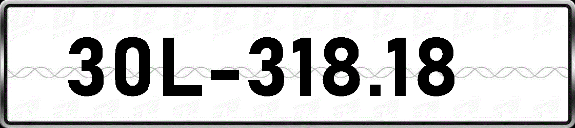 30L31818