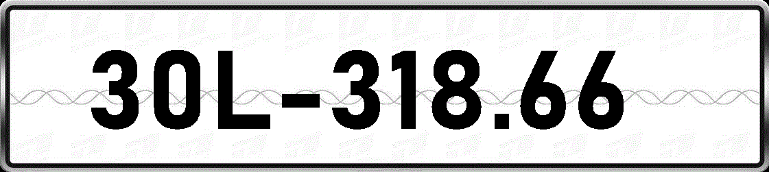 30L31866