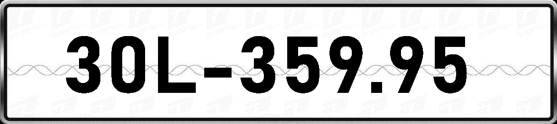 30L35995