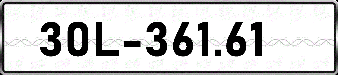 30L36161