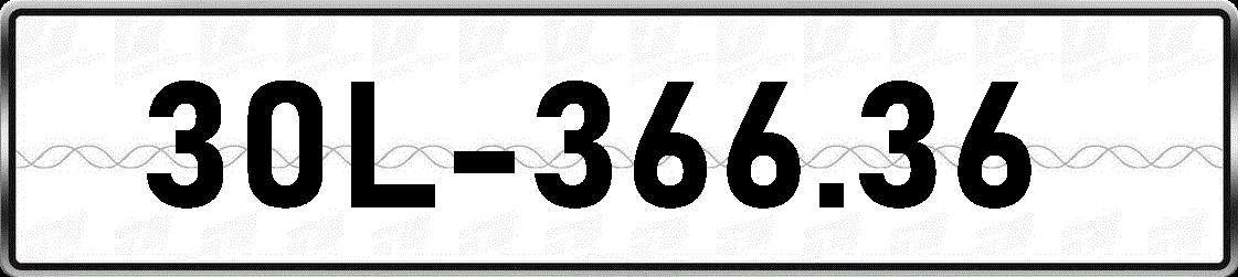 30L36636