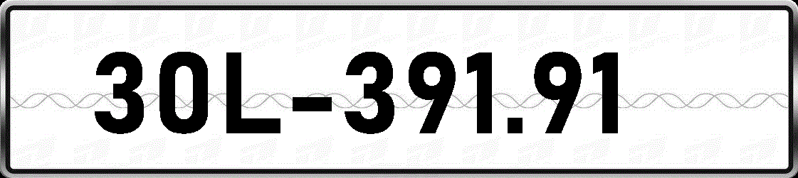 30L39191