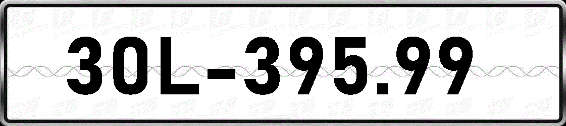 30L39599
