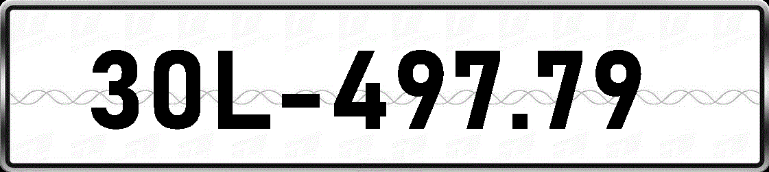 30L49779