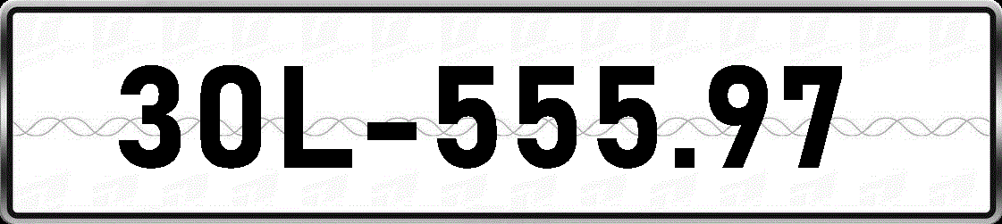30L55597