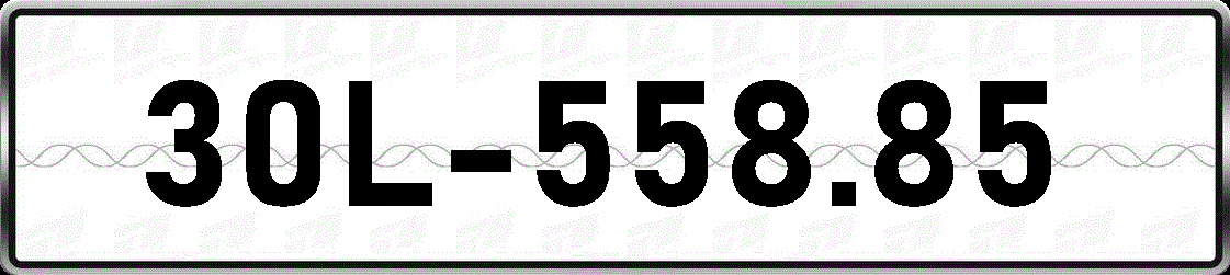 30L55885