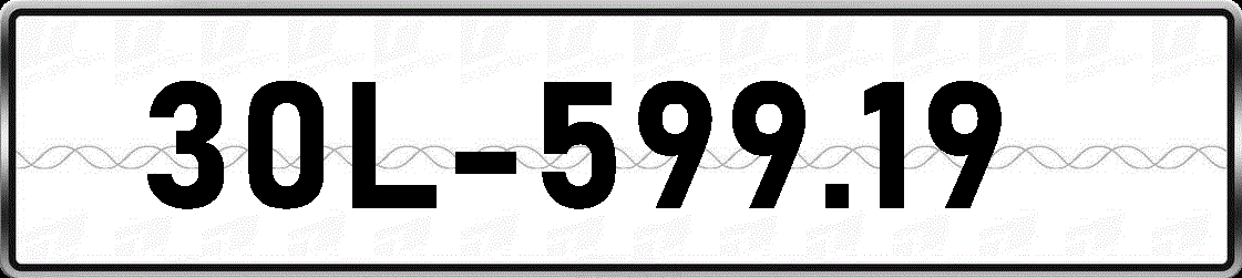 30L59919