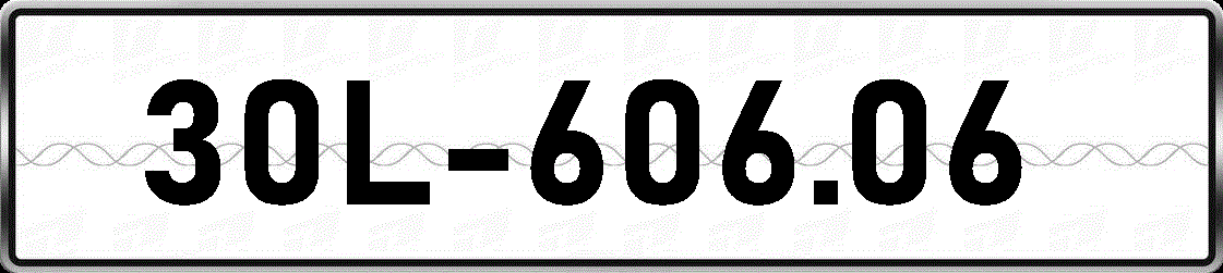 30L60606