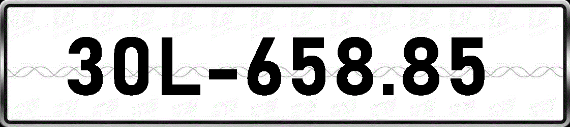 30L65885