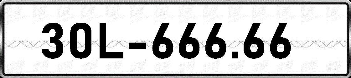 30L66666