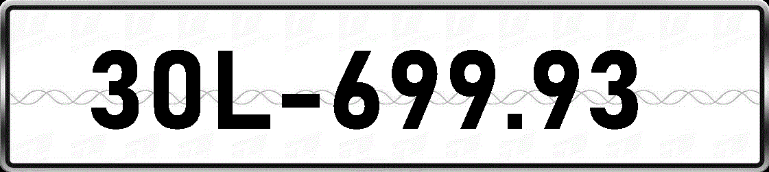 30L69993