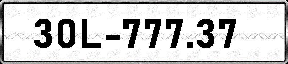 30L77737