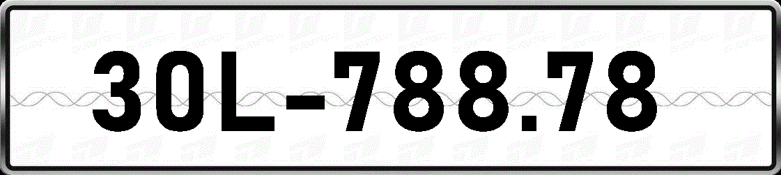 30L78878