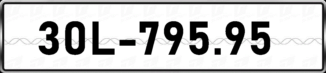 30L79595