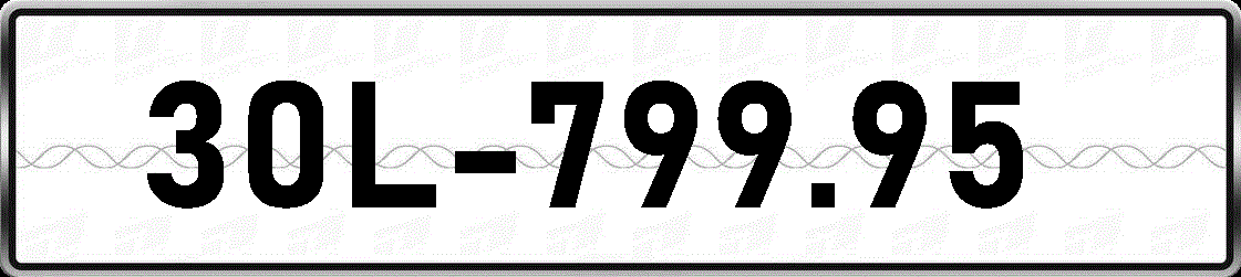 30L79995