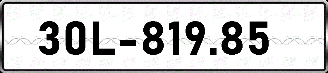 30L81985