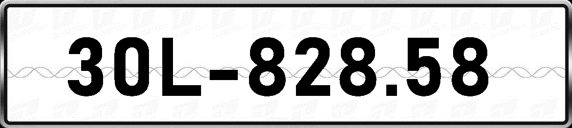 30L82858