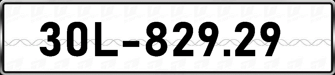 30L82929