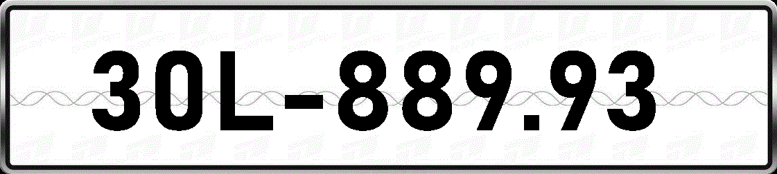 30L88993
