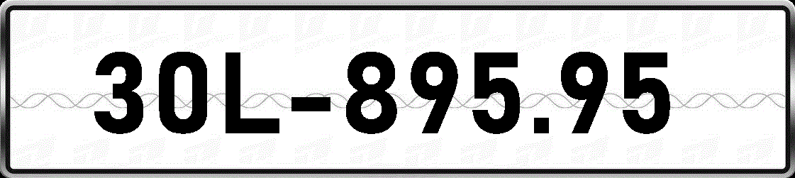 30L89595