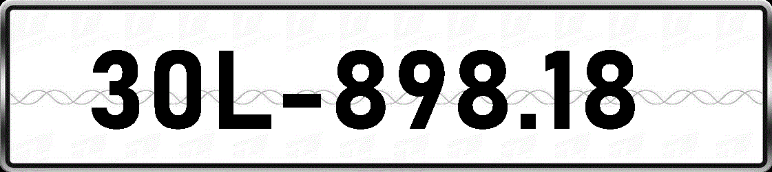 30L89818