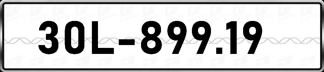 30L89919