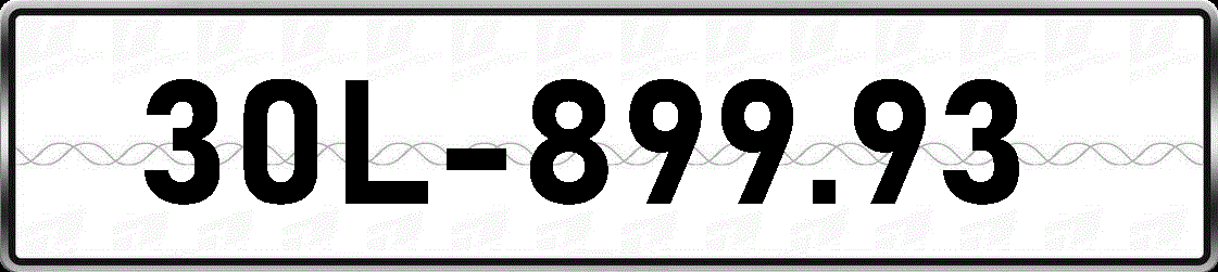 30L89993