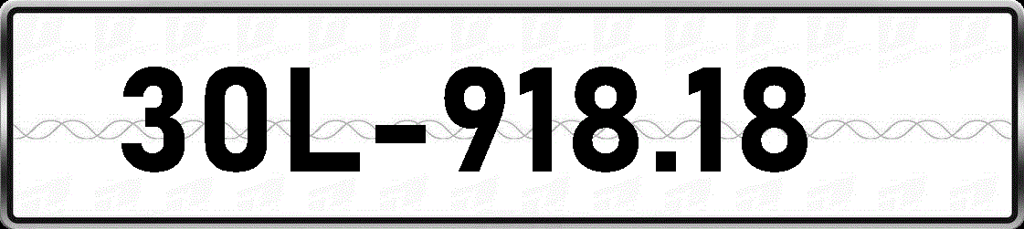30L91818